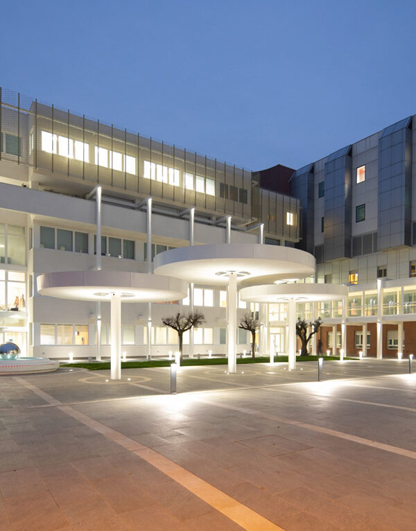 centro clinico dott ignazio borghesi neurochirurgo